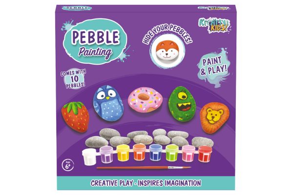 PEBBLE PAINTING LARGE ROCK PAINTING CRAFT KIT