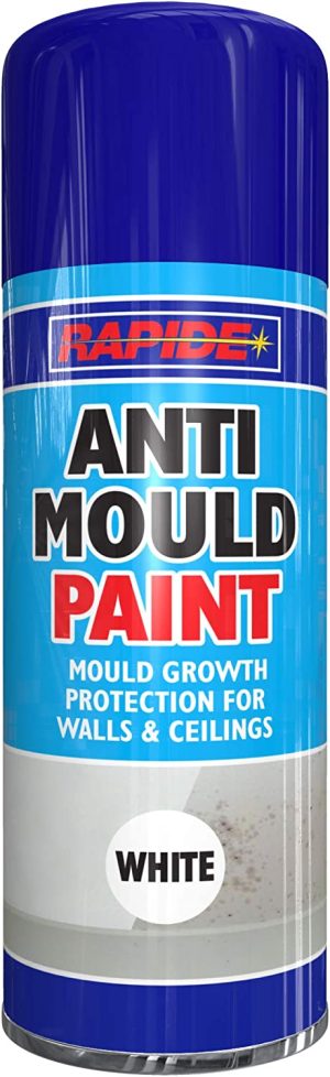 RAPIDE ANTI MOULD SPRAY PAINT 400ML - WHITE