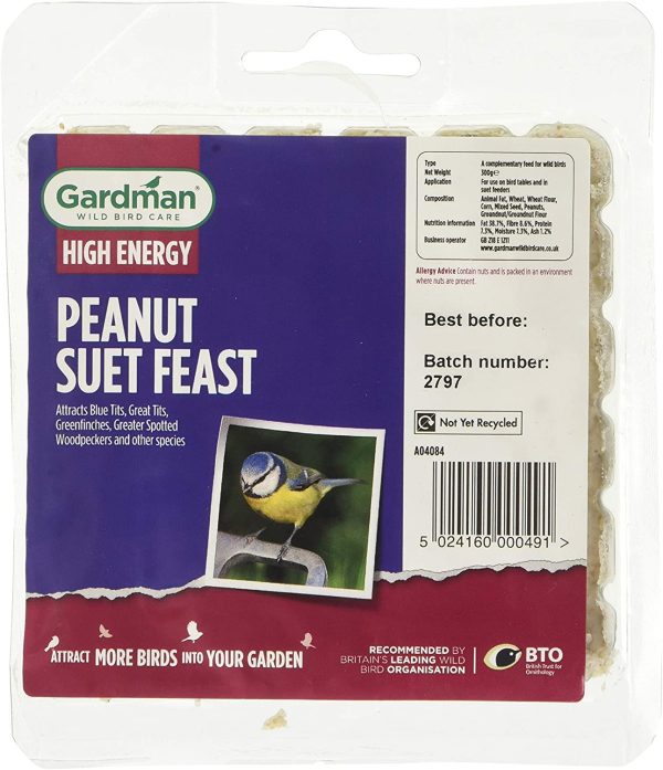 GARDMAN PEANUT SUET FEAST BLOCK FOR BIRDS