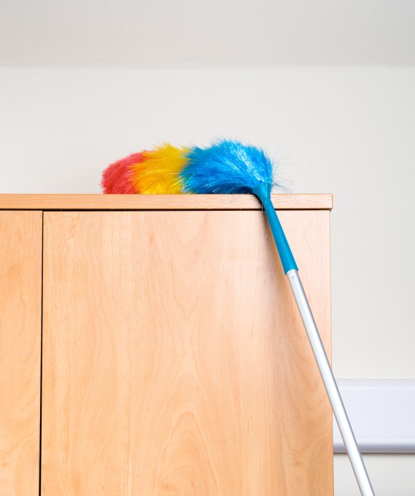 PRO KLEEN EXTANDABLE STATIC DUSTER WITH FLEXIBLE HEAD