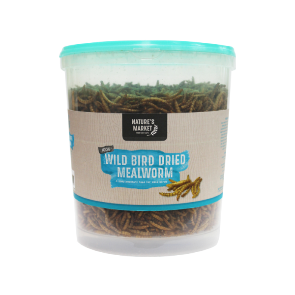 NATURES MARKET WILD BIRD FOOD DRIED MEALWORMS 100G TUB