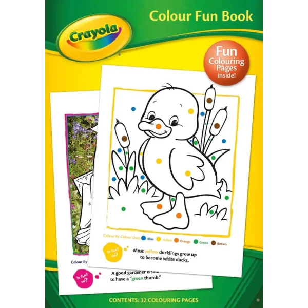 CRAYOLA COLOUR FUN ACTIVITY BOOK