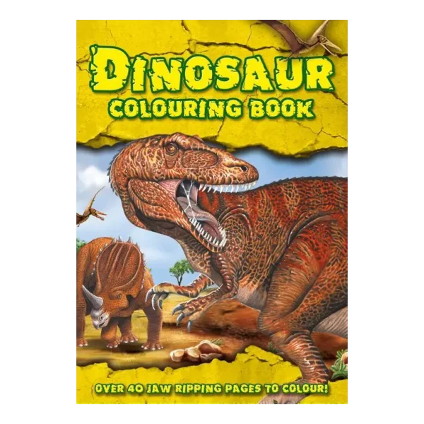 DINOSAUR COLOURING ACTIVITY BOOK