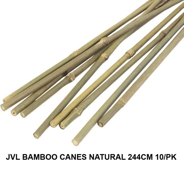 JVL BAMBOO CANES NATURAL 244CM PACK OF 10