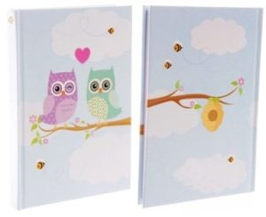 A6 GLITTER LOVE OWLS HARDBACK NOTEBOOK