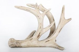 NATURAL REINDEER ANTLER NAPKIN HOLDER CHRISTMAS. XMN0413 XM0413