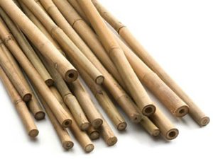 WESTLAND BAMBOO CANE BUNDLE 200CM PACK OF 20