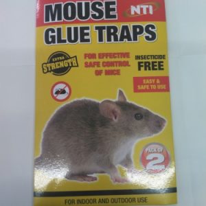 NTI EXTRA STRENGTH MOUSE GLUE TRAPS PACK OF 2