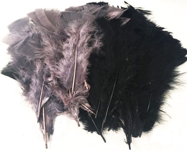 ASSORTED SIZES BLACK GREY CRAFT FEATHERS DECORATION