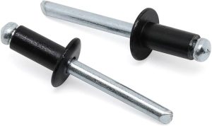 FAST PAK VALUE 3110 1/8 X 1/2'' POP RIVETS