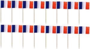 500 PARTY PICKS 8CM FRANCE