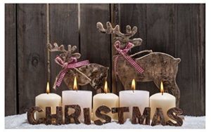 LED CANVAS PICTURE FRAME DEER REINDEER AND CANLDE