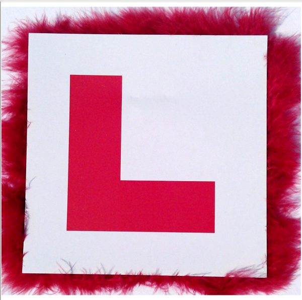 LADIES NIGHT WEDDING AND HEN PARTY L PLATE BADGE RED FLUFFY AND WHITE BOARD