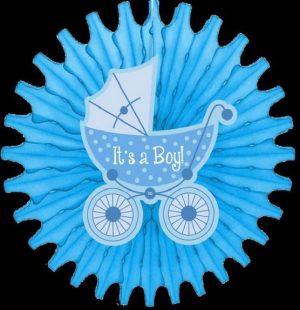 IT'S A BOY DECORATIONS FAN
