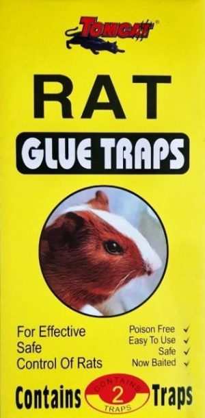 RAT GLUE TRAPS