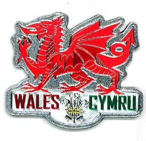 RED DRAGON FOIL STAMPED WALES CYMRU MAGNET