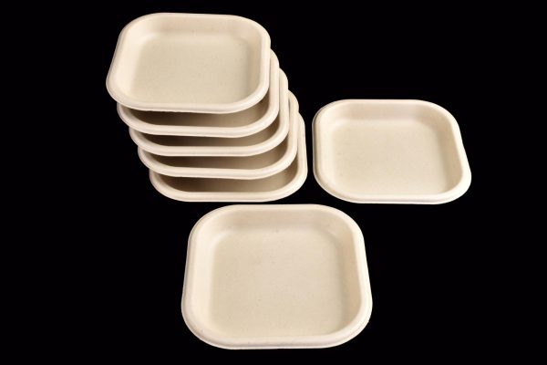 BIODEGRADABLE DISPOSABLE PARTY PLATE 7 INCH / 18CM 25/PK