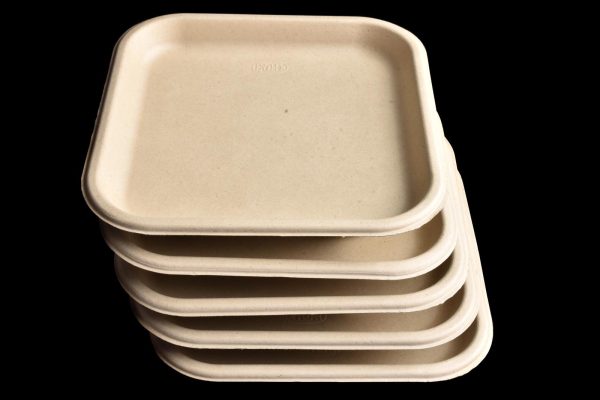 BIODEGRADABLE / COMPOSTABLE PARTY 9 INCH / 23CM PLATES 25/PK