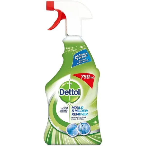 DETTOL ANTI-BACTERIAL MOULD AND MILDEW REMOVER 750 ML