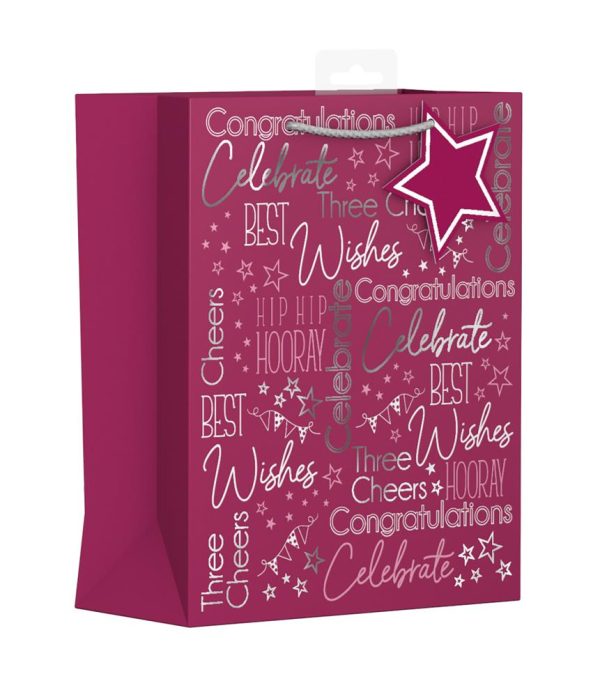 MULTI OCCASION MEDIUM GIFT BAG - PINK