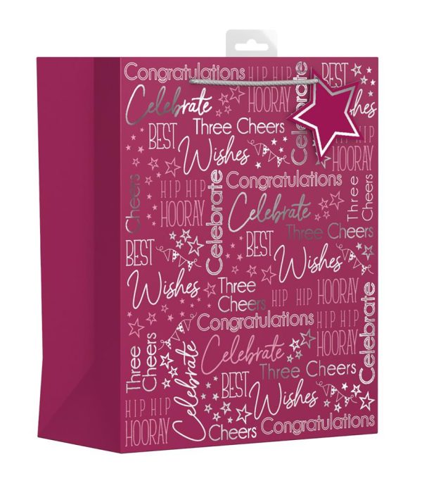 MULTI OCCASION LARGE GIFT BAG - PINK