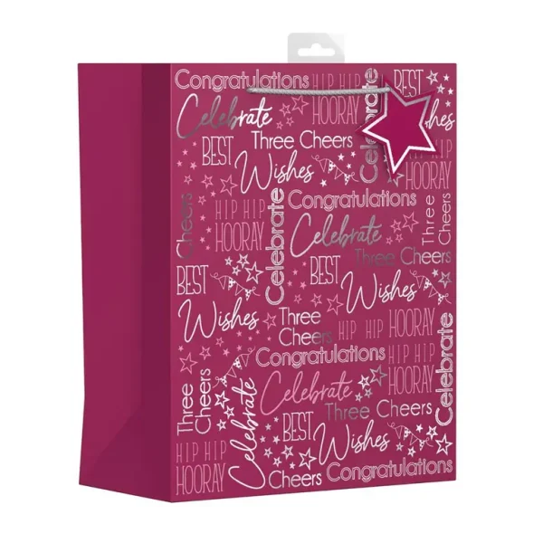 MULTI OCCASION EXTRA LARGE GIFT BAG - PINK