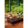 GROW IT RIGID SEED TRAY