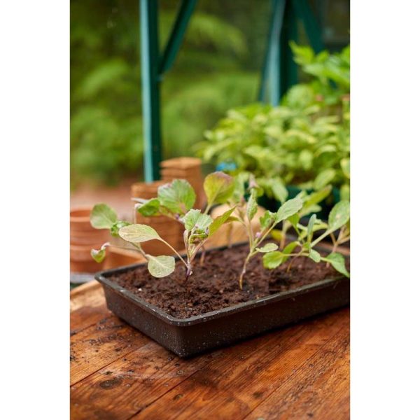 GROW IT RIGID SEED TRAY
