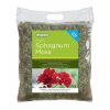 GARDMAN FRESH SPHAGNUM MOSS LARGE PACK
