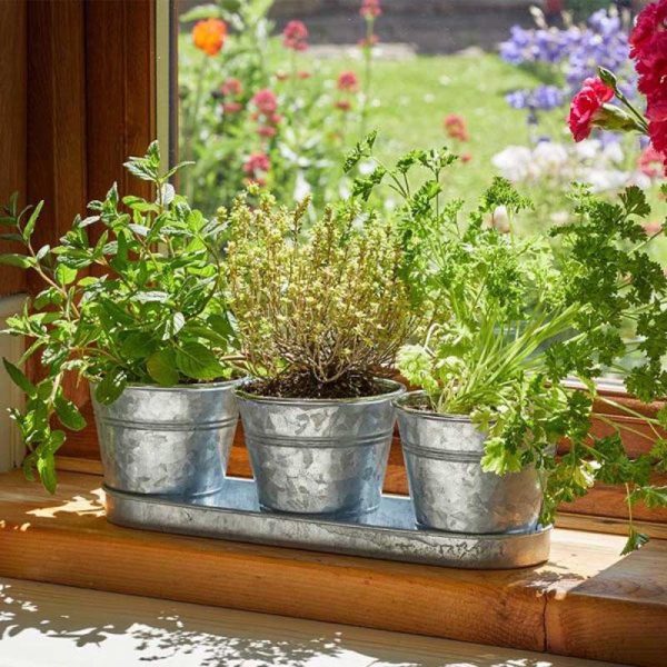 WINDOWSILL HERB POTS GALVANISED PACK OF 3