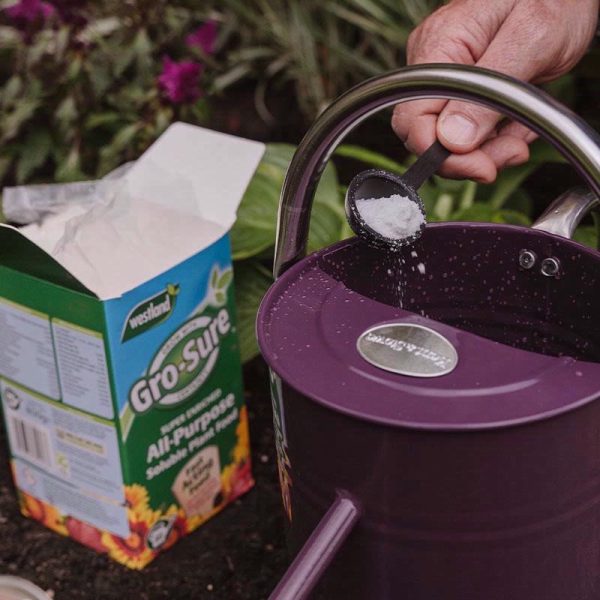WESTLAND GO SURE ALL PURPOSE SOLUBLE PF 800GM