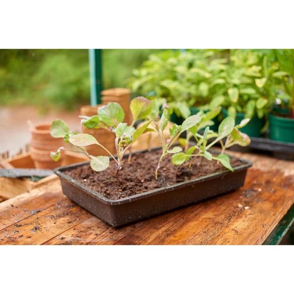 GROW IT RIGID SEED TRAY