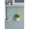 TOPIARY DECO POT