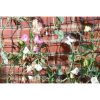 GARDEN MESH - GREEN 50MM 0.5M X 5M