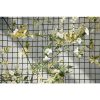 GARDEN MESH - GREEN 20MM 1M X 5M