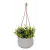 TOPIARY DECO POT