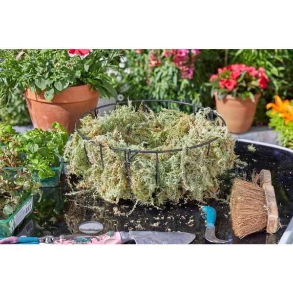 NEW ZEALAND SPAGHUM MOSS LINER JUMBO