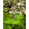 PEANUT FEEDER