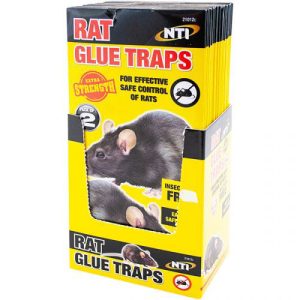 Extra Strength Rat Glue Traps Pack Of 2