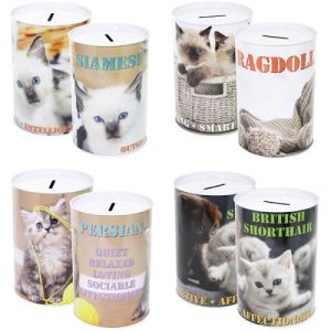 Cat Money Tin 10cm X 15cm