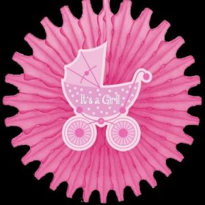 IT'S A GIRL DECORATIONS FAN