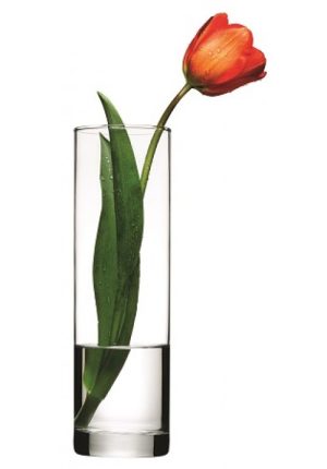 PASABAHCE BOTANICA CYLINDER VASE IN GIFT BOX 27CM
