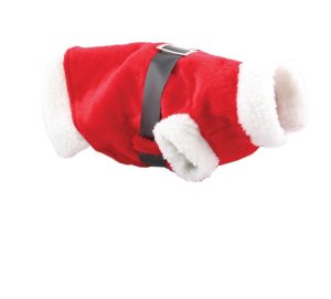 CHRISTMAS DOGS SANTA SUIT