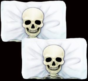 2 SKULL CUSHION COVER