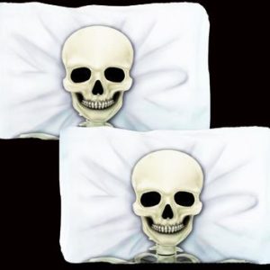 2 SKULL CUSHION COVER