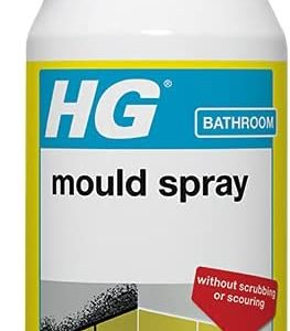 HG MOULD REMOVER SPRAY 500ML