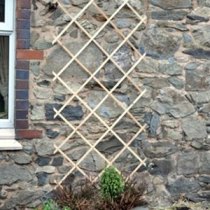 GARDEN TRELLIS 6X3FT