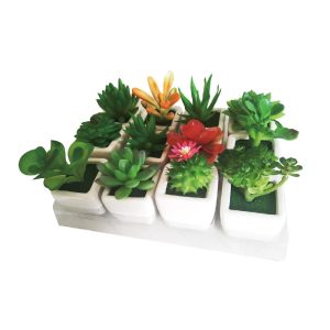 SMALL ARTIFICIAL SUCCULENTS PLANT WITH SQUARE CLEAR POT