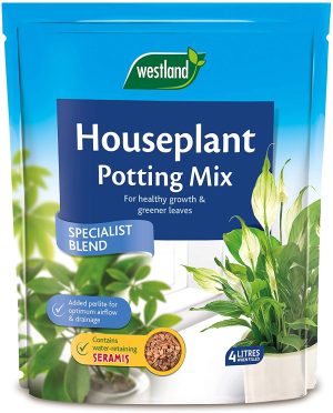 WESTLAND PEAT FREE HOUSE PLANT POTTING MIX 4L