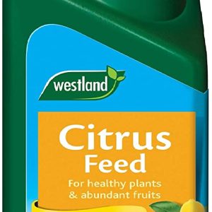 WESTLAND CITRUS CONCENTRATE FEED 200ML